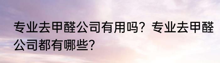专业去甲醛公司有用吗？专业去甲醛公司都有哪些？