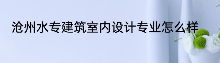 沧州水专建筑室内设计专业怎么样