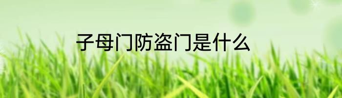 子母门防盗门是什么