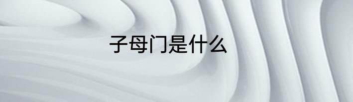 子母门是什么