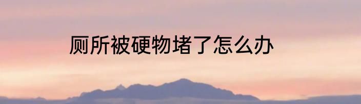 厕所被硬物堵了怎么办