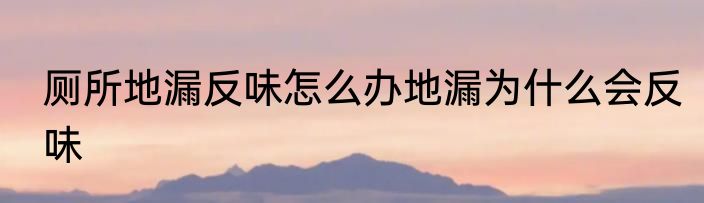 厕所地漏反味怎么办地漏为什么会反味