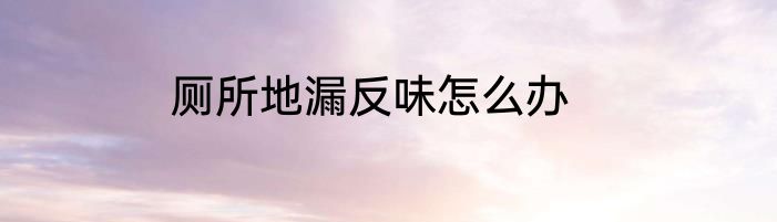 厕所地漏反味怎么办