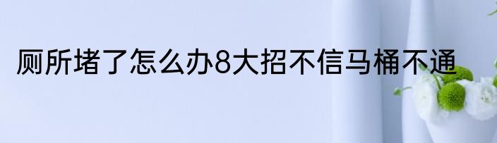 厕所堵了怎么办8大招不信马桶不通