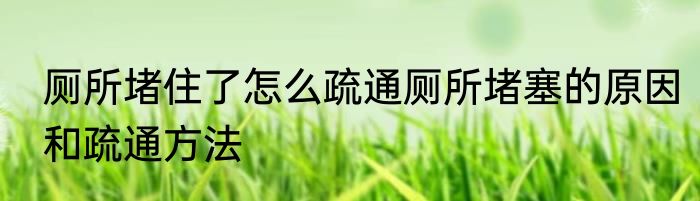 厕所堵住了怎么疏通厕所堵塞的原因和疏通方法