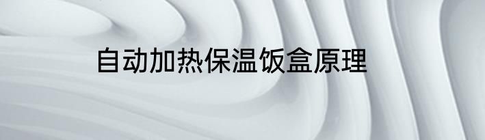 自动加热保温饭盒原理