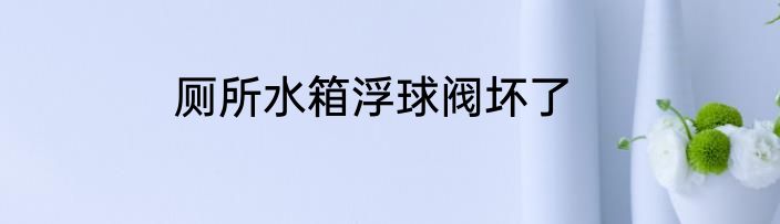 厕所水箱浮球阀坏了