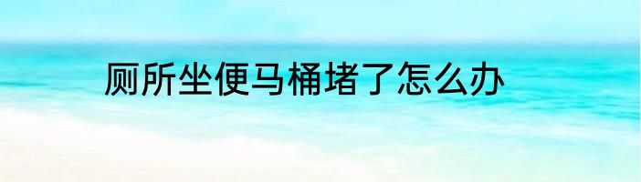 厕所坐便马桶堵了怎么办