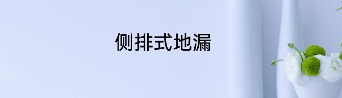 侧排式地漏