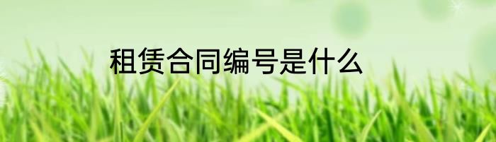 租赁合同编号是什么