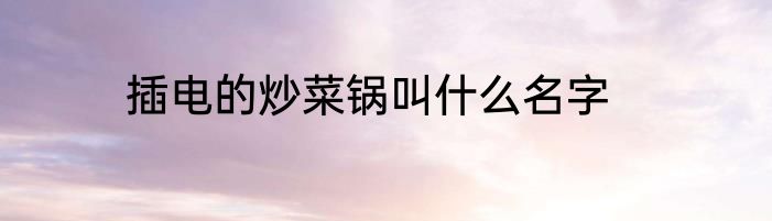 插电的炒菜锅叫什么名字