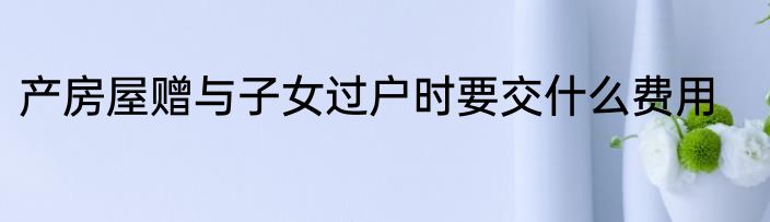 产房屋赠与子女过户时要交什么费用