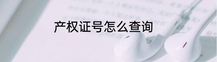产权证号怎么查询