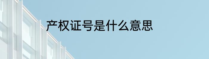 产权证号是什么意思