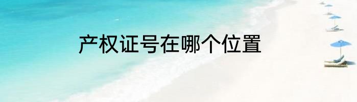 产权证号在哪个位置