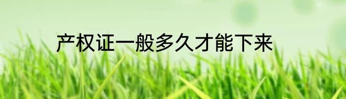 产权证一般多久才能下来