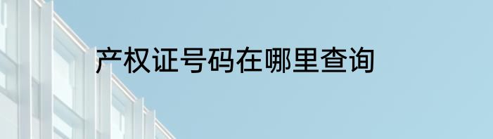 产权证号码在哪里查询