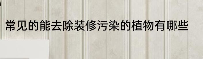 常见的能去除装修污染的植物有哪些