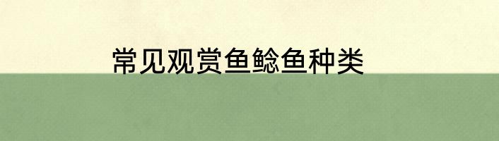 常见观赏鱼鲶鱼种类