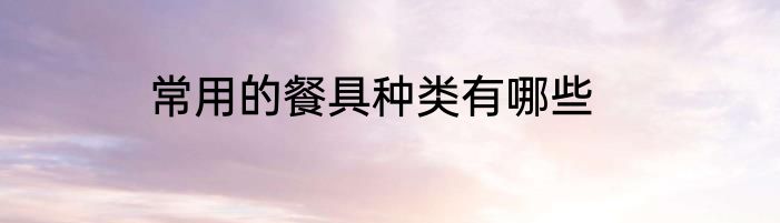 常用的餐具种类有哪些