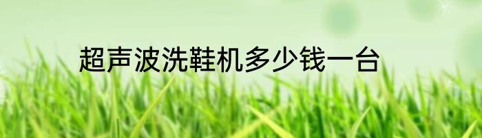 超声波洗鞋机多少钱一台