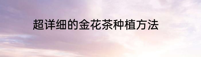 超详细的金花茶种植方法