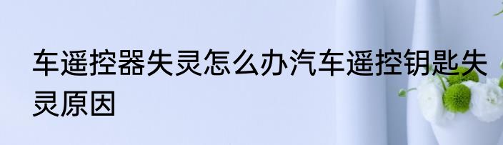 车遥控器失灵怎么办汽车遥控钥匙失灵原因