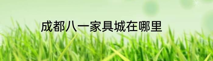 成都八一家具城在哪里