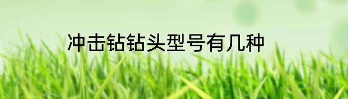 冲击钻钻头型号有几种