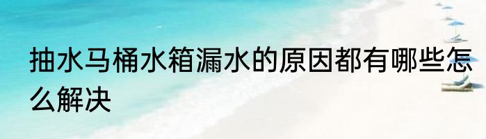 抽水马桶水箱漏水的原因都有哪些怎么解决