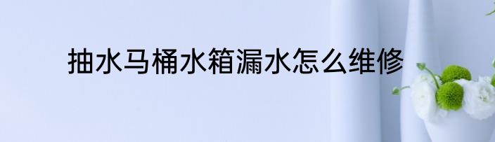 抽水马桶水箱漏水怎么维修