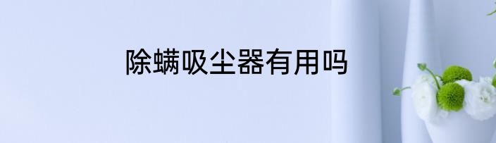 除螨吸尘器有用吗