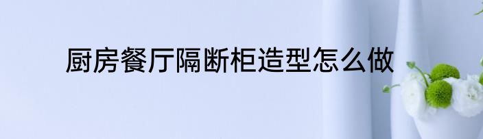 厨房餐厅隔断柜造型怎么做
