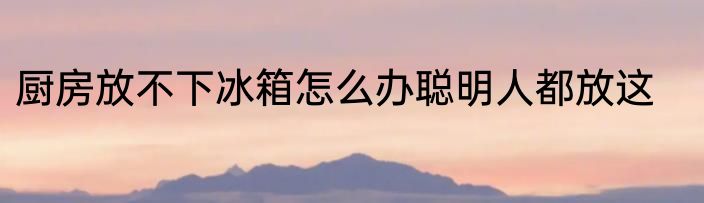 厨房放不下冰箱怎么办聪明人都放这