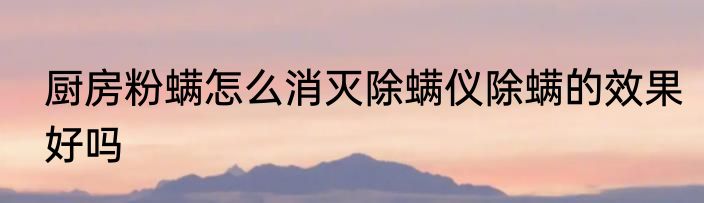 厨房粉螨怎么消灭除螨仪除螨的效果好吗