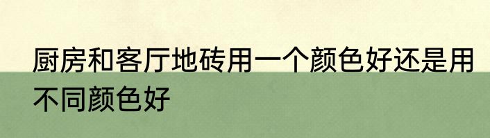 厨房和客厅地砖用一个颜色好还是用不同颜色好