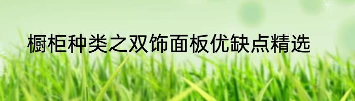 橱柜种类之双饰面板优缺点精选