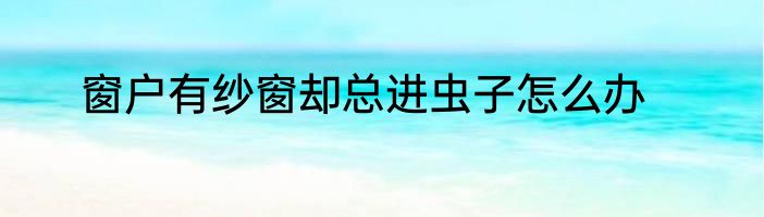 窗户有纱窗却总进虫子怎么办