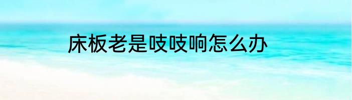 床板老是吱吱响怎么办
