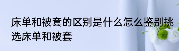 床单和被套的区别是什么怎么鉴别挑选床单和被套