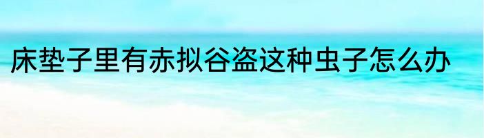 床垫子里有赤拟谷盗这种虫子怎么办