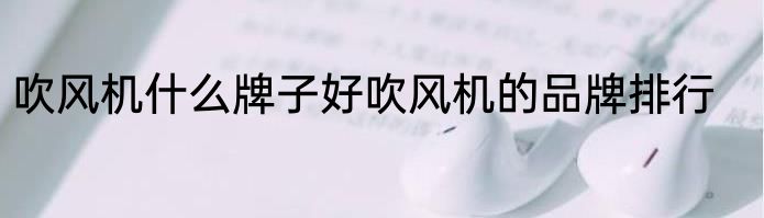 吹风机什么牌子好吹风机的品牌排行