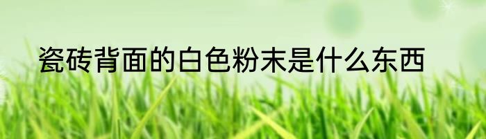 瓷砖背面的白色粉末是什么东西