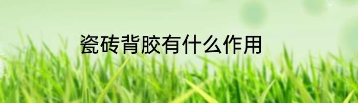 瓷砖背胶有什么作用
