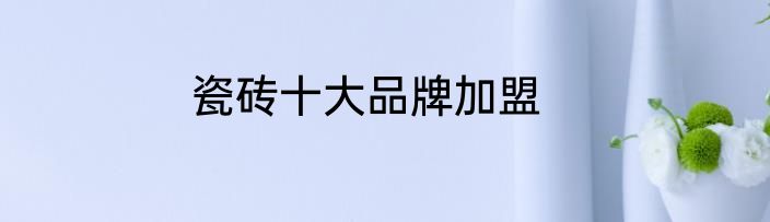 瓷砖十大品牌加盟