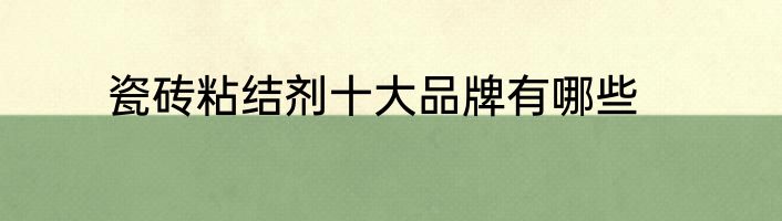 瓷砖粘结剂十大品牌有哪些