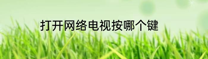 打开网络电视按哪个键