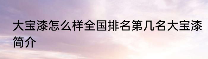 大宝漆怎么样全国排名第几名大宝漆简介