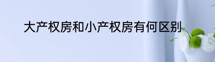 大产权房和小产权房有何区别