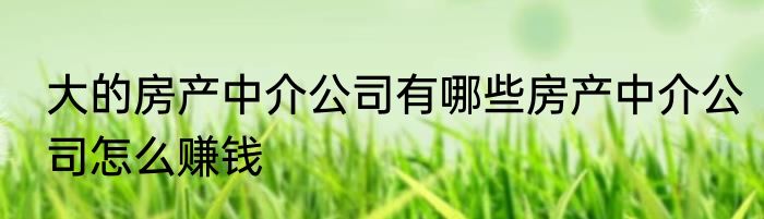 大的房产中介公司有哪些房产中介公司怎么赚钱